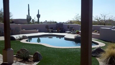 Backyard Oasis!