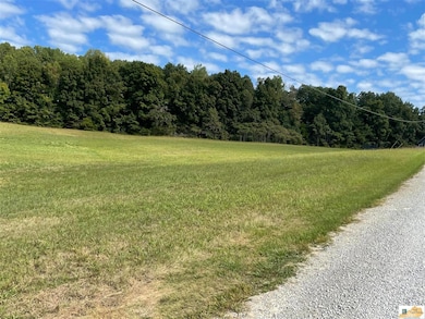 375 Indian Cliff Rd, Clarkson, KY 42726 - photo 3