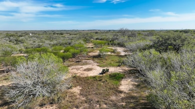 County Road 124, Kenedy, TX 78119 - photo 3