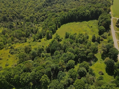 Jennison Rd, Edmeston, NY 13335 - photo 3