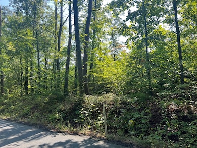 #1 Ambler Rd, Lousia, VA 23093 - photo 2