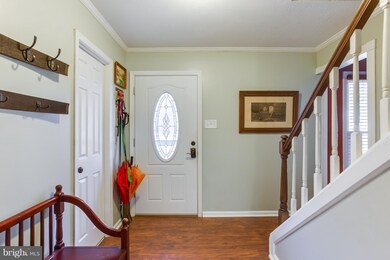 3 Webster Ct, Fredericksburg, VA 22407 - photo 3