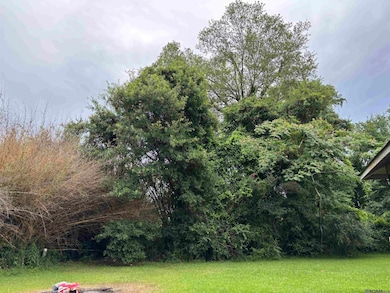 13587 Burgess Ave, Walker, LA 70785 - photo 7