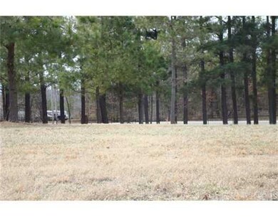 Other. rear fence