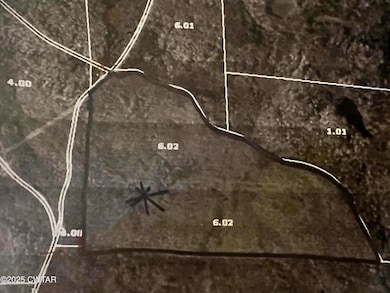 00 Dan Head Rd, Pocahontas, TN 38061 - photo 2