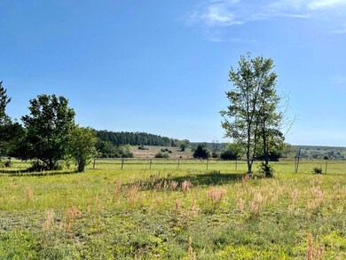 14+/-AC Hwy 393, Crestview, FL 32539 - photo 3