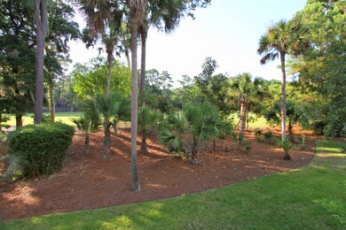 2430 Cat Tail Pond (8)0008