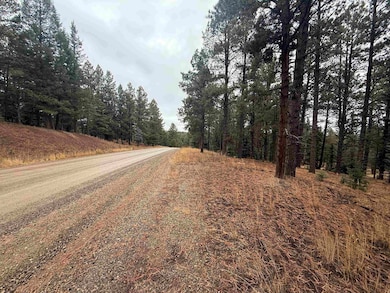 Lot 37 Valle Grande Trail, Angel Fire, NM 87710 - photo 4
