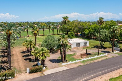 Palm tree lined drive