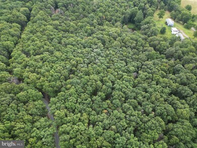 0 Pinewood Ln, Berkeley Springs, WV 25411 - photo 3