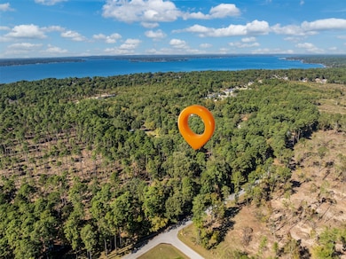 Lot 4 Pintail Dr, Flint, TX 75762 - photo 3