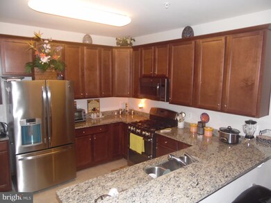 24636 Woolly Mammoth Terrace unit 102, Aldie, VA 20105 - photo 4