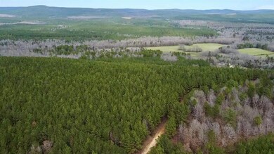Birds eye view of property featuring a mountain vi