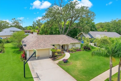 2806 Fairway View Dr, Valrico, FL 33596 - photo 2