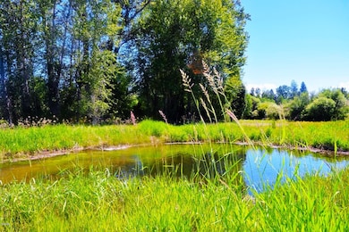 3606 Bears Rd, Stevensville, MT 59870 - photo 4