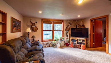 E269 Hudziak Rd, Waupaca, WI 54981 - photo 3