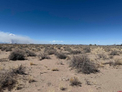 TBD Antelope Ln, Alamosa, CO 81101 - photo 5