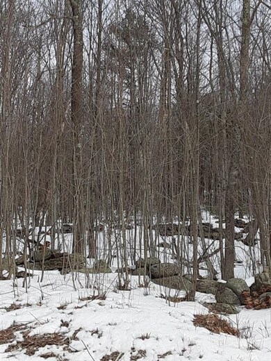 0 North Rd, Barnstead, NH 03225 - photo 2