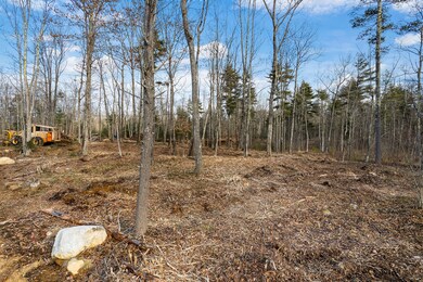 Woodland Pond Estates all aerial