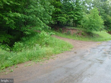 0 Horn Camp Rd unit 1000214915, Rio, WV 26755 - photo 6