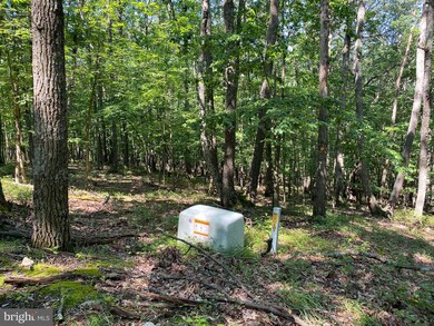 9 & 22 Mount Top Rd, Lost River, WV 26801 - photo 2