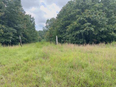 TBD Turkey Springs Ranch Ln, Highland, AR 72543 - photo 7