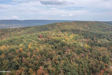 00 Pine Ridge Rd, James Creek, PA 16657 - photo 4