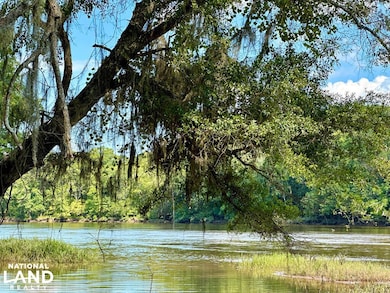 0 Hwy 19 N, Lumber City, GA 31549 - photo 4