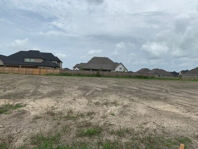 2008 Yellowstone Trail, Friendswood, TX 77546 - photo 2