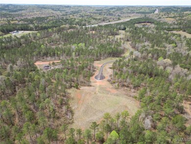 Lot 2 Pine Cir, Coker, AL 35452 - photo 6