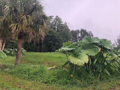 6424 W Park Ln, Lake Worth, FL 33449 - photo 5