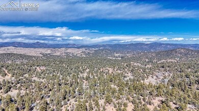 Mountain view with a view of trees