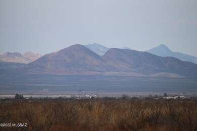 IMG_040