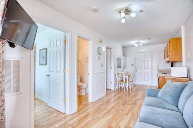 Living room with light hardwood / wood-style floor