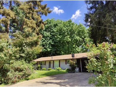 Front Yard