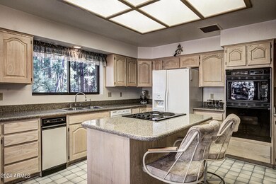 5655 W Karla Ct, Pine, AZ 85544 - photo 4