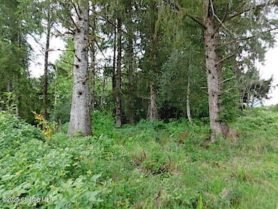 thumbnail_Stephens woods view 1