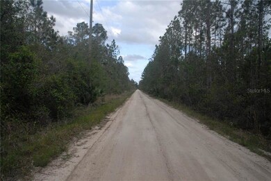 Old Train Road looking south 