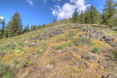 1110 Twisp River Rd, Twisp, WA 98856 - photo 7