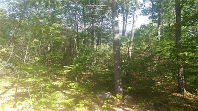 0 H Rd unit 1326139, Acton, ME 04001 - photo 2