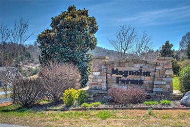 3 Magnolia Valley Ct unit 21, Asheville, NC 28806 - photo 2