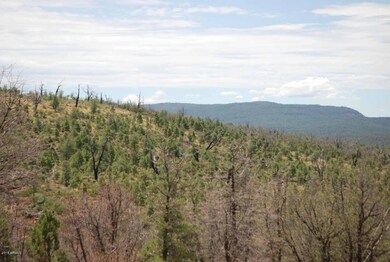 Lot 39 E Antelope Trail unit 39, Payson, AZ 85541 - photo 5