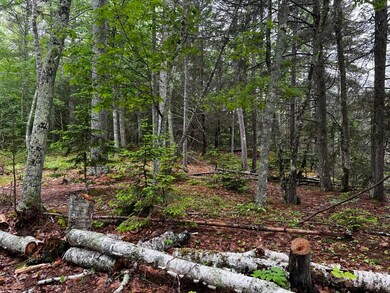 0 Ardan Rd unit 1532439, Boothbay, ME 04537 - photo 7