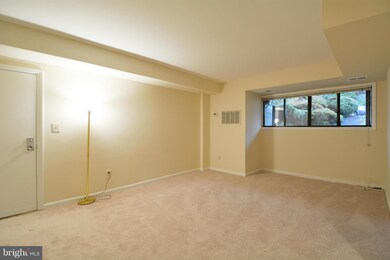 101 Skyhill Rd unit 101, Alexandria, VA 22314 - photo 5