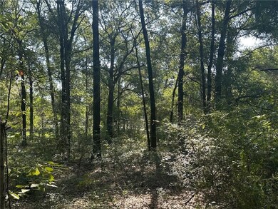 Danner Dr, Wilmer, AL 36587 - photo 5