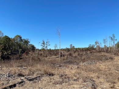 0 Vertie Hoggle Rd, North Perry, AL 36756 - photo 2