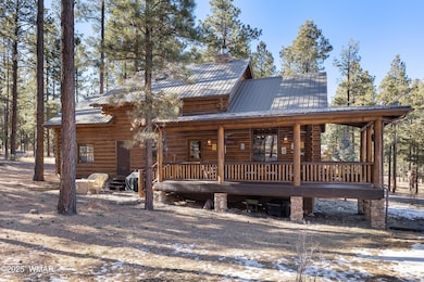 11 Co Rd unit N 1063, Greer, AZ 85927 - photo 4