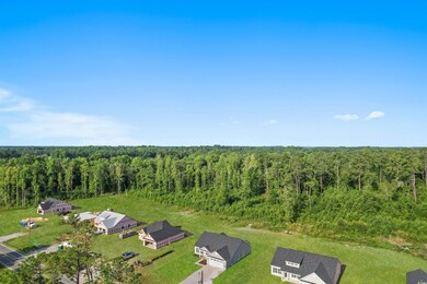 504 Cane Branch Rd unit Lot 5- Live Oak, Loris, SC 29569 - photo 5
