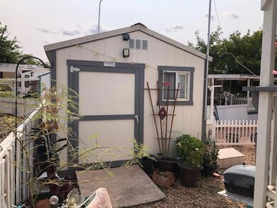 05-Shed