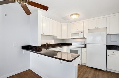 10 Riverside St unit 3, Watertown, MA 02472 - photo 4